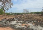 Idoso É Detido Por Incêndio Ilegal Em Área De Cuiabá: Entenda As Consequências 7 2025 word3