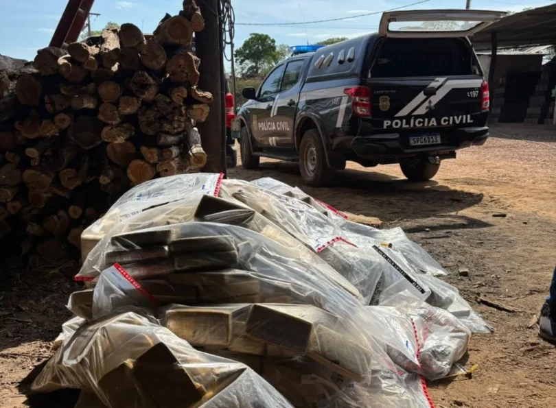 Polícia Civil Incinera 1,1 Tonelada De Drogas Em Cáceres: Combate Ao Tráfico De Entorpecentes 1 2025 word1