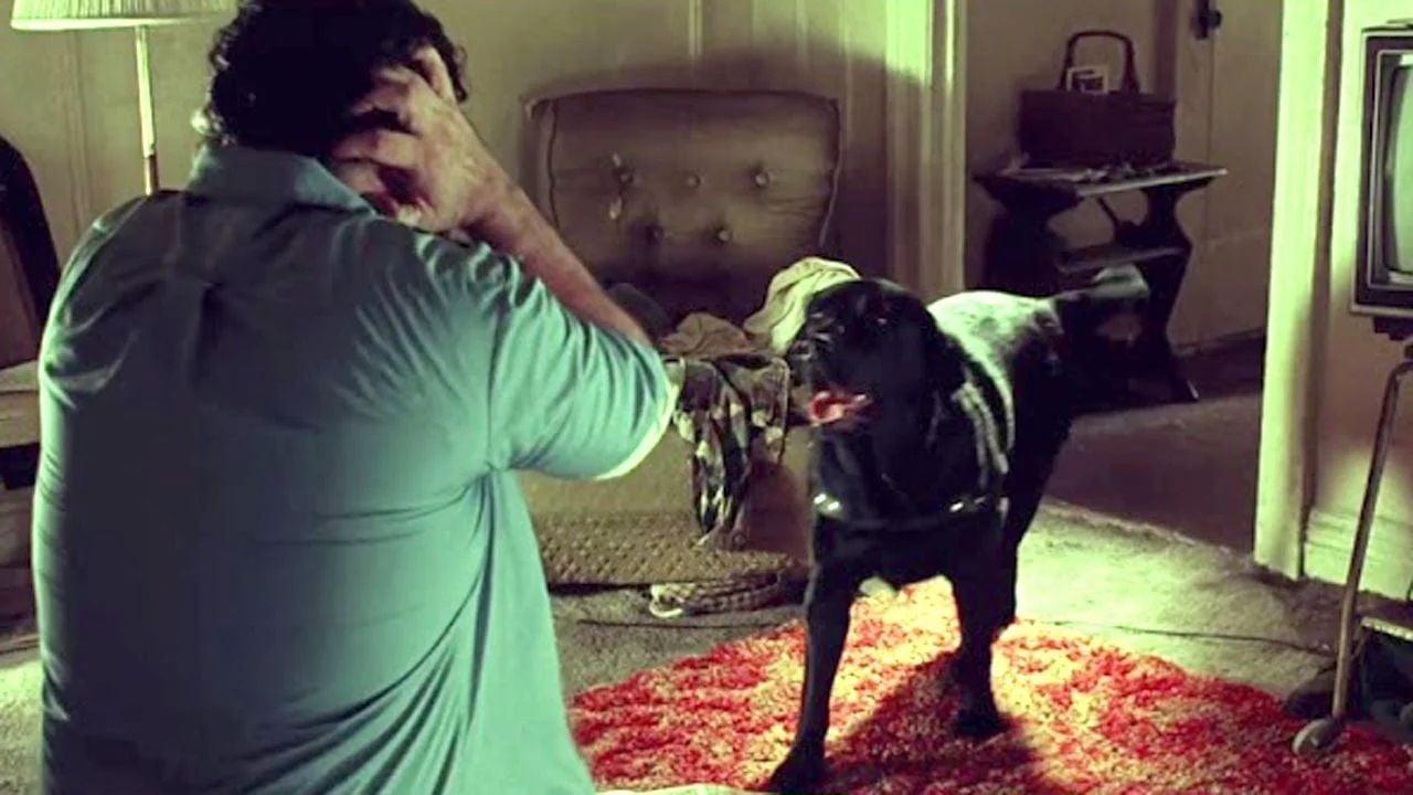 429E13753D55Cce83Efa515D9660B85F-1 2025 word3