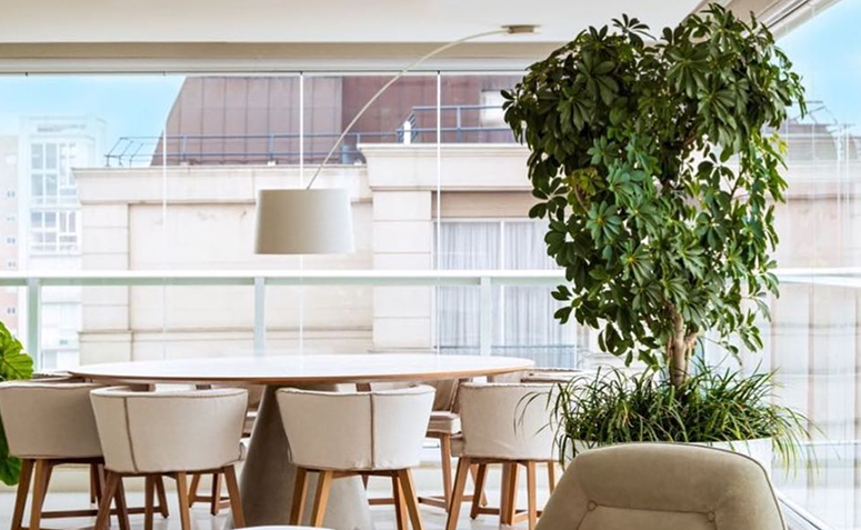 sala de jantar em apartamento com schefflera grande.