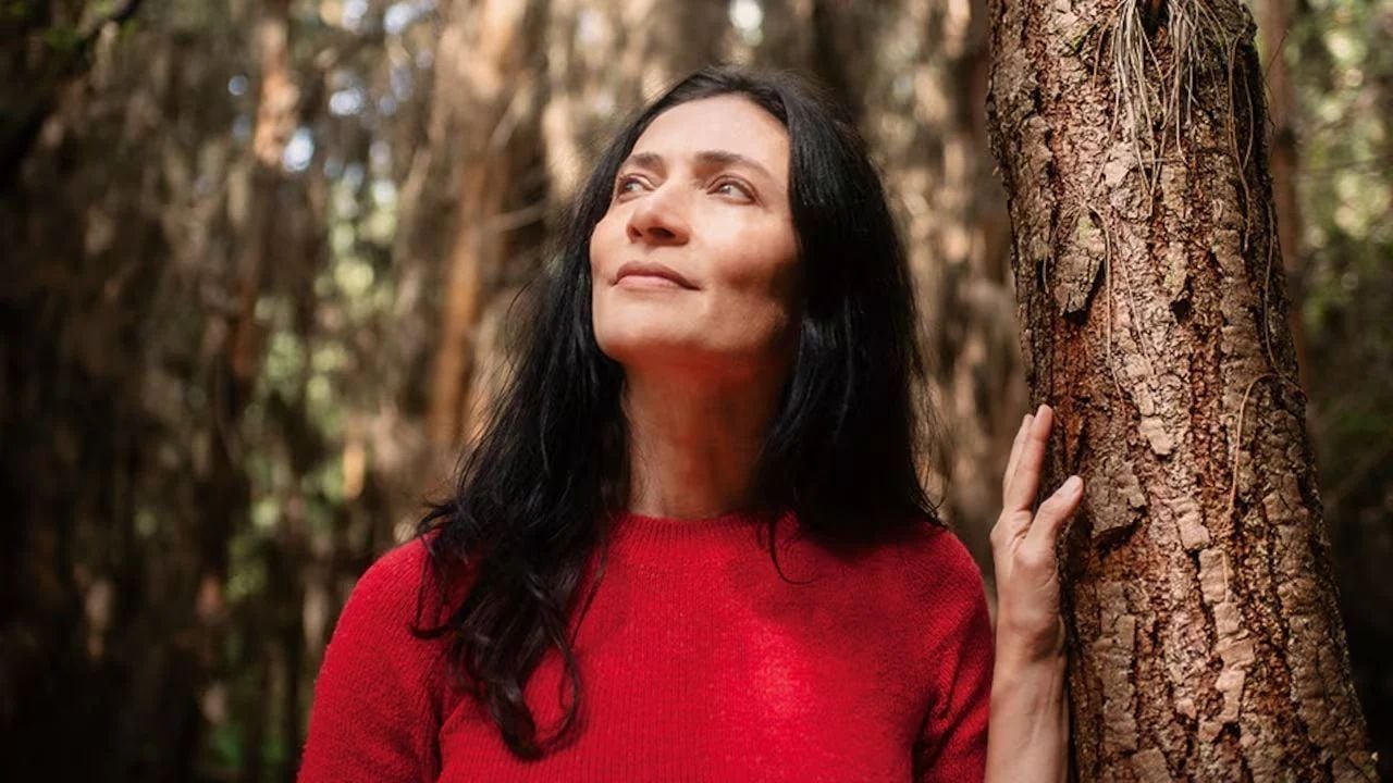 3772A8909341F596C2774960C352Bb8A 2025 word2