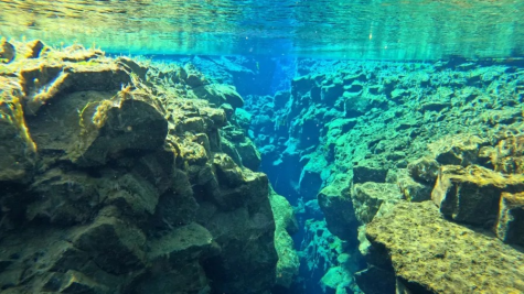 Fragmentação De Placas Tectônicas Nas Américas: Geólogos Registram Fenômeno Impressionante! 1 2025 word1