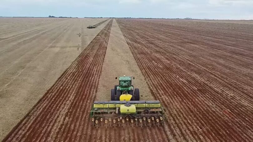 Plantio De Soja Em Mato Grosso Avança, Mas Ritmo Desacelera Para A Safra 2024/25 1 2025 word1