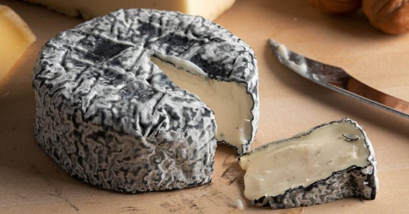 Por Que É Seguro Comer Queijo Mofado, Mas Não Outros Alimentos Estragados: Explicação De Um Toxicologista 1 2025 word3