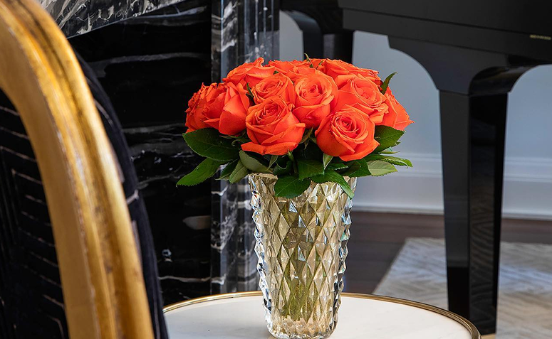 rosa, a flor mais linda do mundo e que simboliza o amor.