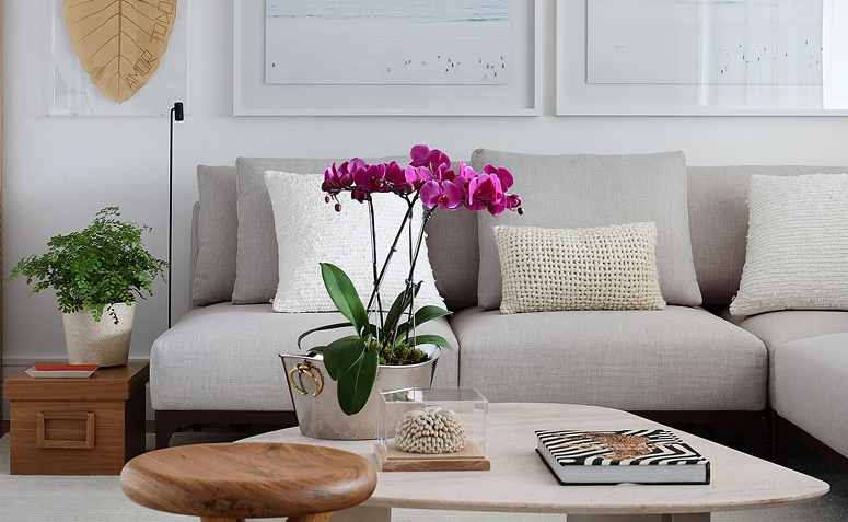 orquídea, uma das flores mais lindas do mundo e que expressa admiração, força e prosperidade.