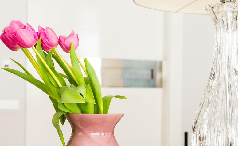 tulipas, uma das flores mais lindas do mundo que simboliza elegância, prosperidade e beleza.