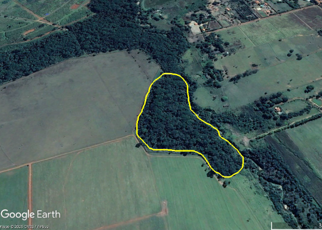 Ferramenta Para Restauração Ecológica De Matas Ciliares No Cerrado: Como Agregar Valor Ao Processo 1 2025 word1