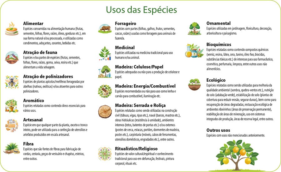 251104_Restauracaoecologicamatasriparias_Infografico-Gerado-Por-Ia 2025 word1