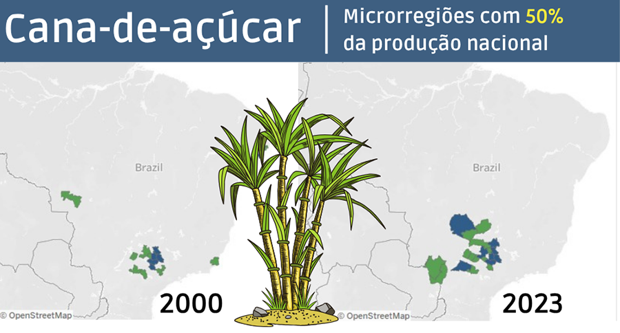 251104_Dinamicaagricola_Cana-De-Acucar 2025 word1