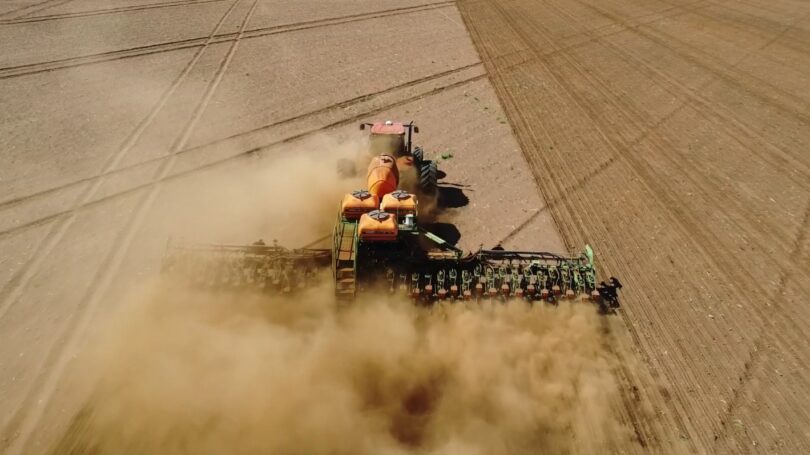 Produção Agrícola Em Jaciara Enfrenta Desafios Com Soja, Algodão E Arroz Para Ração Bovina 1 2025 word2