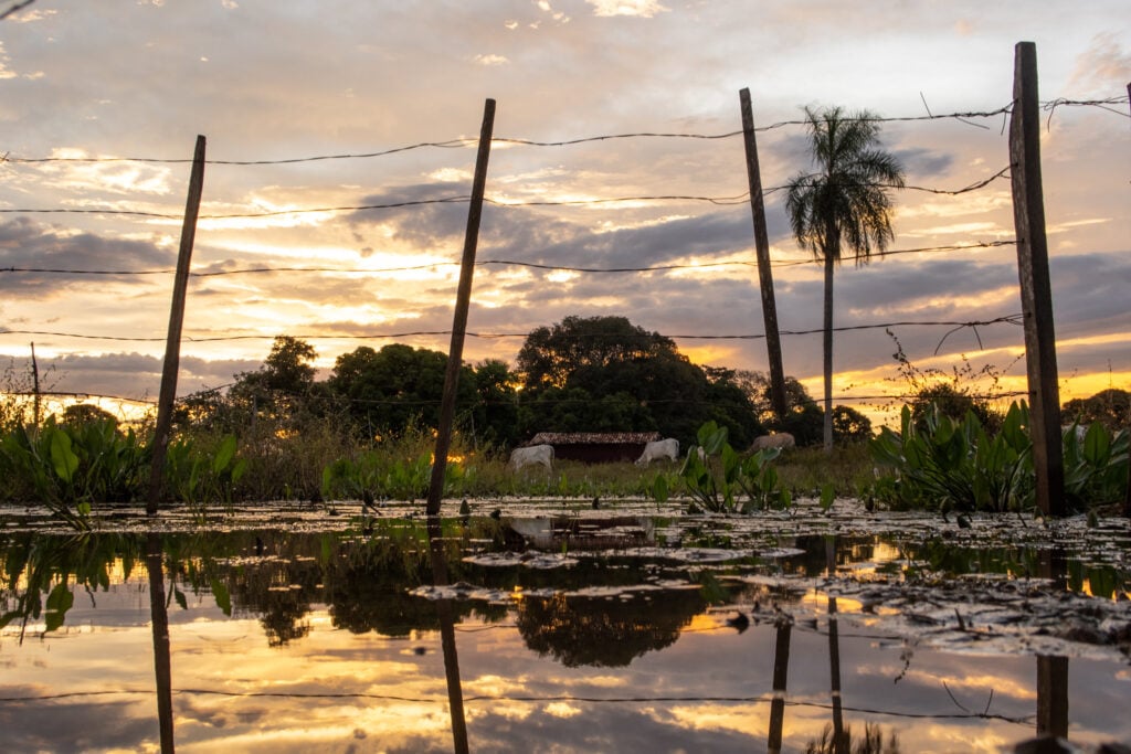Fazenda_Pantaneira_Sustentavel-2-1024X683-1 2025 word2