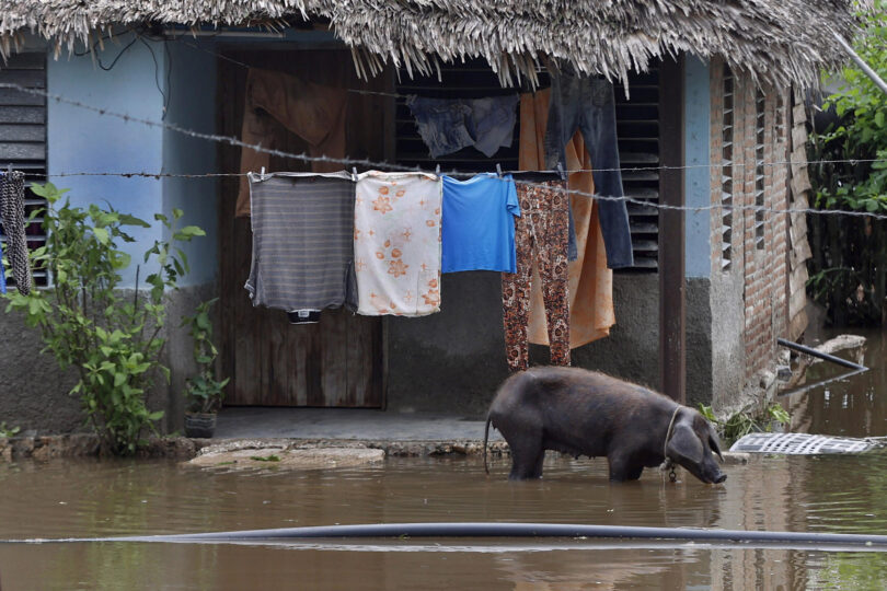 Ong Denuncia Genocídio Silencioso Em Cuba: Novo Recorde De Protestos Registrados 1 2025 word2