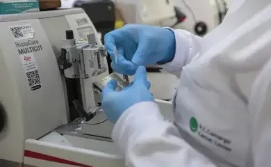 Crescimento Alarmante: Câncer De Próstata Aumenta 32% Em Homens Abaixo De 50 Anos No Brasil 1 2025 word1