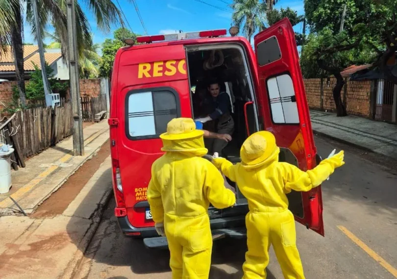 Homem É Resgatado Após Ataque De Abelhas Em Sinop: Veja O Emocionante Resgate! 1 2025 word3
