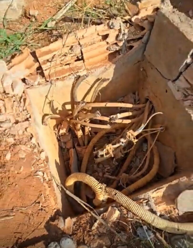 Escola Cora Coralina Em Lucas Do Rio Verde É Alvo De Criminosos, Que Deixam O Local Sem Energia 1 2025 word1