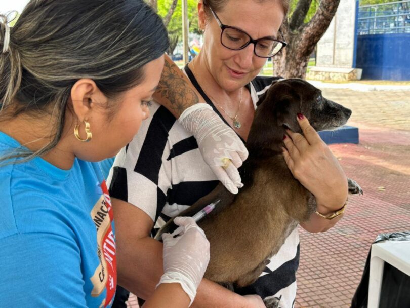 Campanha De Vacinação Antirrábica Em Sorriso Atinge Alta Cobertura Em 2025 1 2025 word2