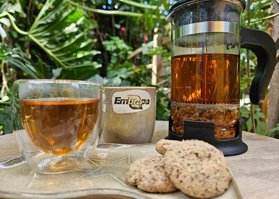 251104_Biscoitofarinhacascacafe_Enrique-Alves_Composicao-Bebida-E-Biscoito 2025 word1