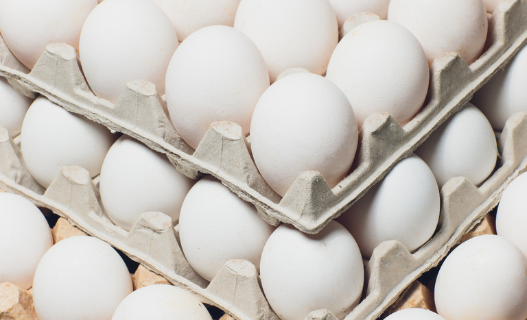 Brasil Avança Nas Negociações Com A União Europeia E Retoma Sistema De Pre-Listing Para Ovos: Saiba Mais! 1 2025 word1