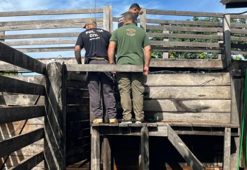 Fiscalização Revela Problemas Em Abatedouros E Mercados De Carne: Descubra As Irregularidades 1 2025 word2