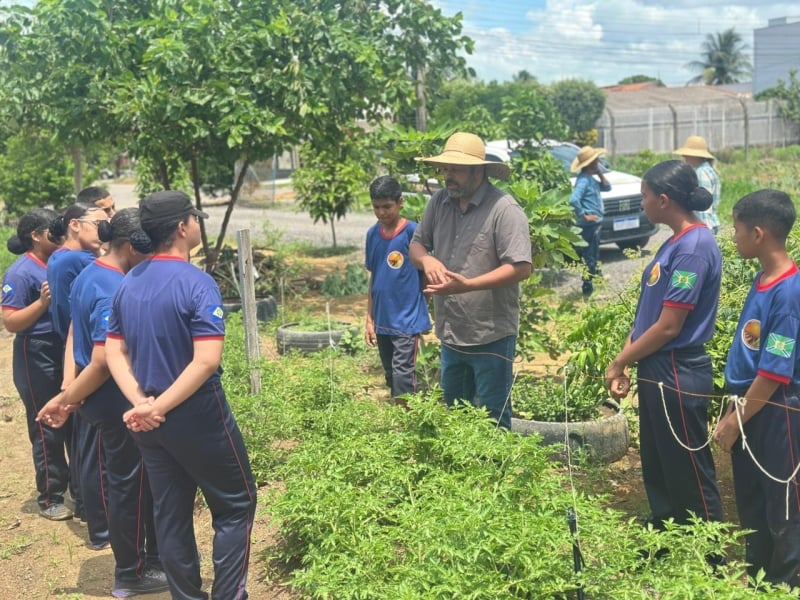 Prefeitura De Sinop E Projeto Luz Do Amanhã Oferecem Aulas De Agricultura Familiar E Horta Comunitária 1 2025 word3