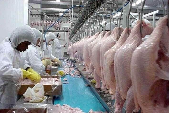 China Autoriza Novamente Importação De Carne De Frango Do Brasil: Entenda As Mudanças 1 2025 word3