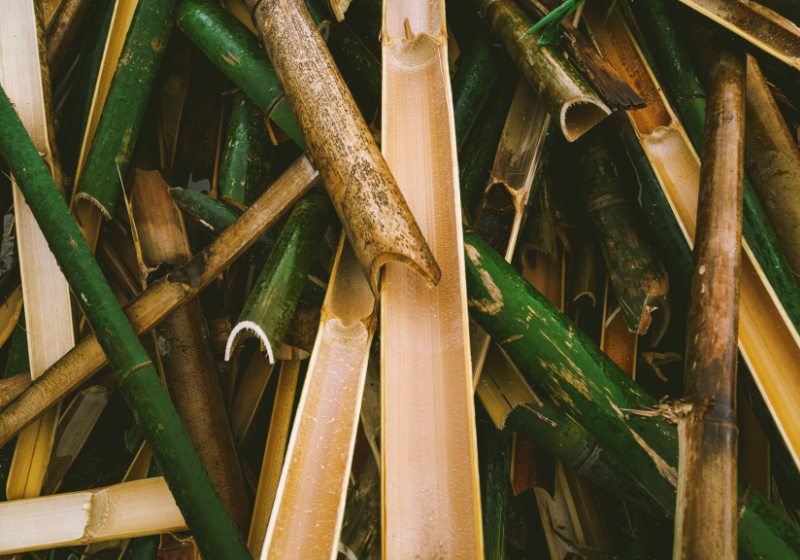 Plástico Biodegradável De Bambu: Resistente E Se Decompõe Em 2 Meses 1 2025 word1