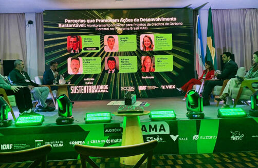 Avallone Defende Financiamento Ambiental Para Preservação Na Cop30: O Papel Do Parlamento Em Destaque 1 2025 word1