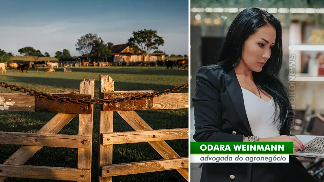 Liminar do TJ-RS suspende consolidação de propriedade rural e leilão; defesa afasta mora por abusividades em contrato do Sicredi