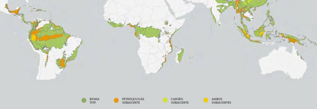Bioma-Tfff-Mapa Mapa