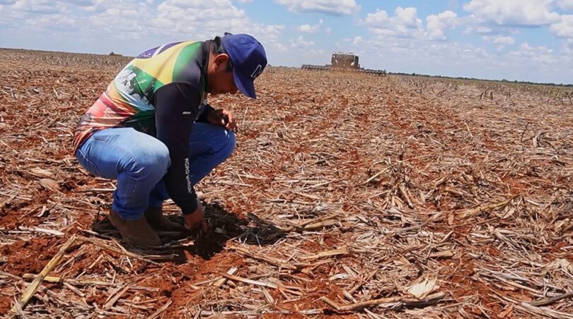 Agricultura Indígena De Mt Conquista Licença Inédita Do Ibama: Do Sonho À Realidade 1 2025 word1