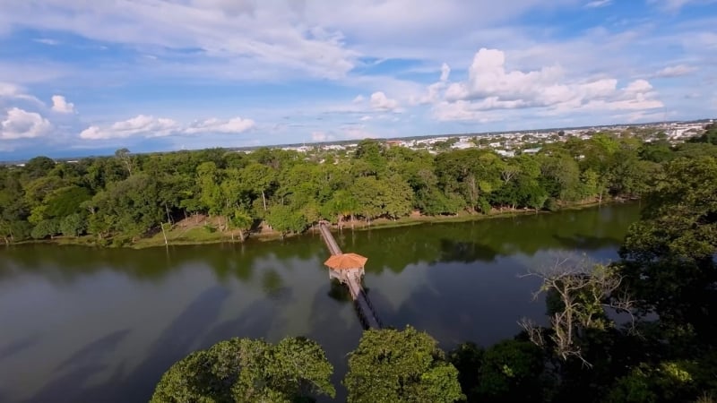 Sinop: Destaque Nacional Em Arborização Na Cop30 1 2025 word3