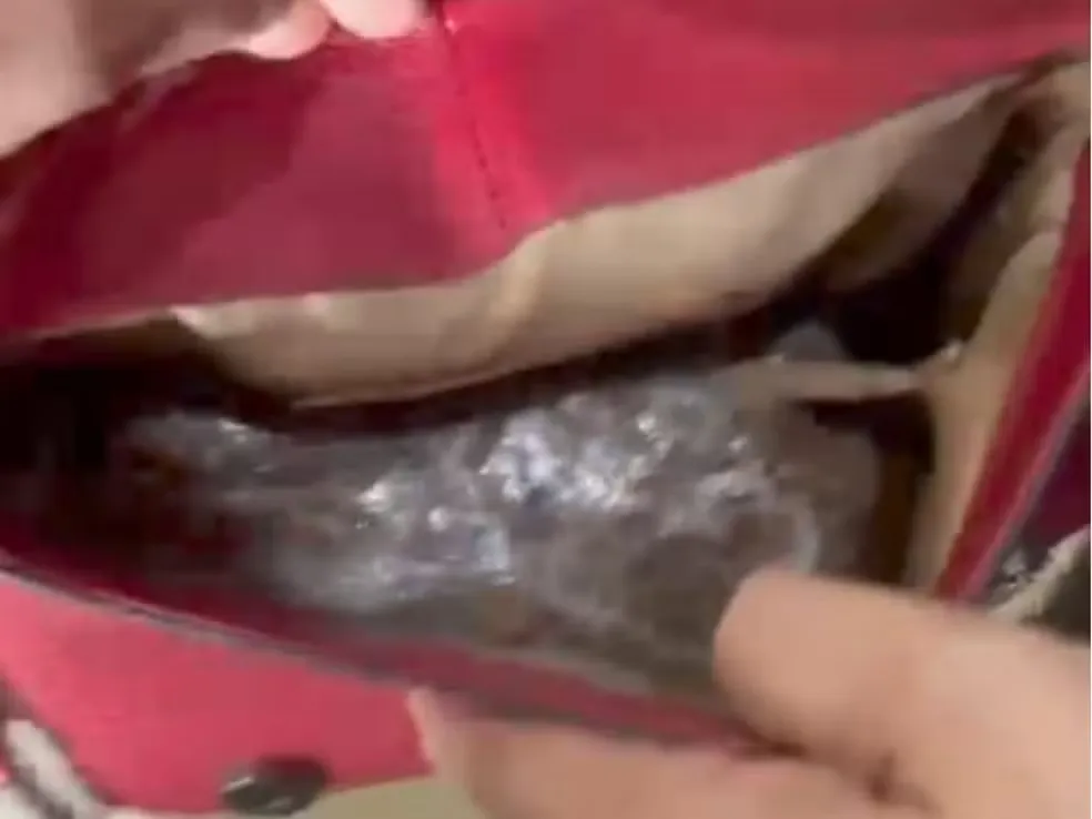 Midia-De-Distribuicao-G1-91-Avif 2025 word1