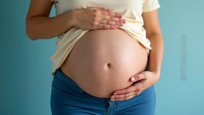 Decisão Judicial Fundamentada Afasta Tese Vinculante Sobre Estabilidade Da Gestante 1 2025 word2