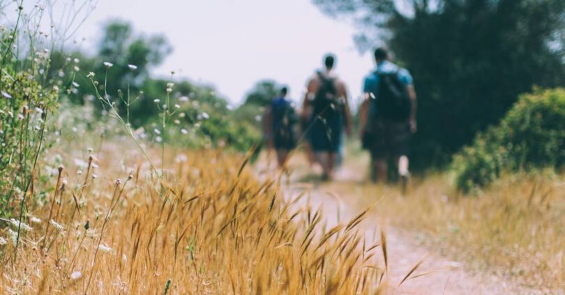 Infecção Por Carrapato Amedronta Celebridades E Gera Alarme Entre Viajantes Globais 1 2025 word3