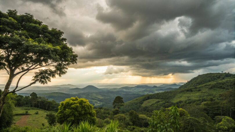 Previsão Do Tempo Em Tapurah: Máxima De 32°C Com 50% De Chance De Chuva Nesta Sexta-Feira (14) 1 2025 word3