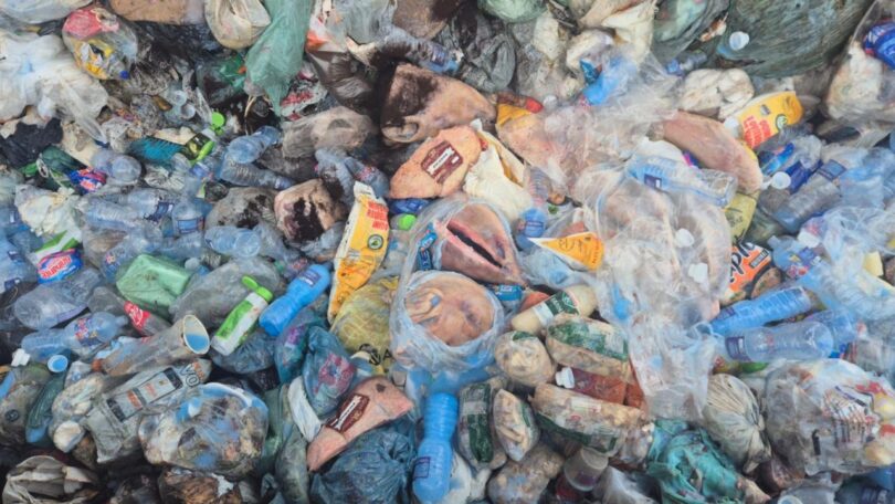 Procon De Sorriso Apreende 600 Quilos De Produtos Impróprios Em Supermercado: Irregularidades Detectadas 1 2025 word1