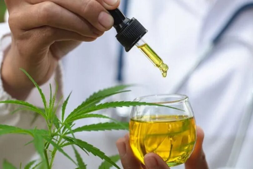 Prazo Para Regulamentação Do Cultivo Medicinal Da Cannabis É Prorrogado Novamente: Entenda Os Detalhes 1 2025 word3