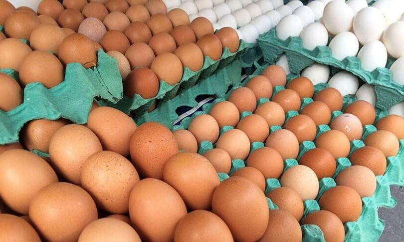 Exportações De Ovos Em Alta Enquanto Mercado Interno Despenca Em Outubro 1 2025 word3