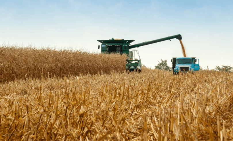 Crescimento De 31% Nos Recursos Das Cédulas De Produto Rural De Julho A Outubro De 2025: Saiba Mais! 1 2025 word1