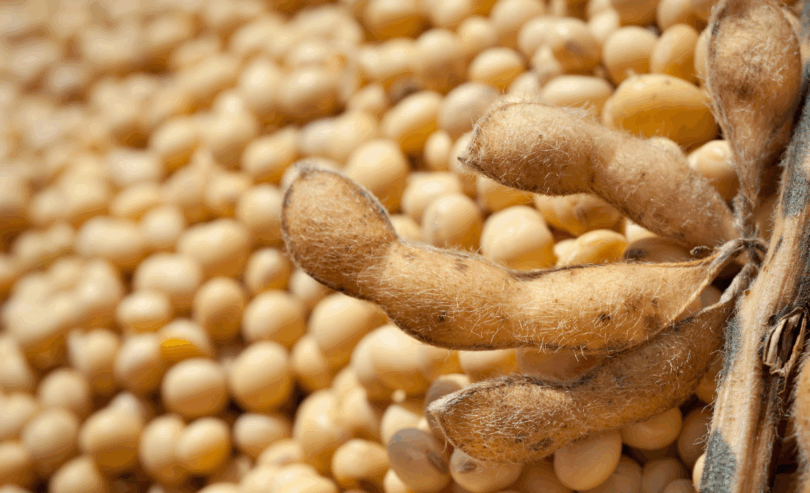 Exportações Do Agronegócio Atingem Recorde De Us$ 15,49 Bilhões Em Outubro 1 2025 word3