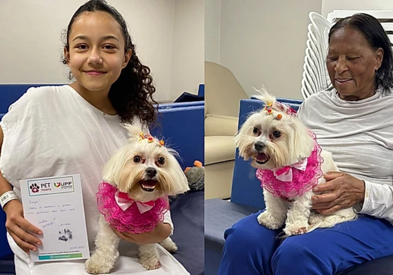 Como Uma Cachorrinha Terapeuta Ajudou Sua Tutora A Vencer A Doença: Uma História De Superação E Missão Transformadora 1 2025 word3