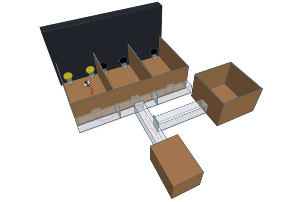 1211-Super-Abelhas-Codigo-Morse-Layout_Site(2) Modelo 3D do aparato experimental.