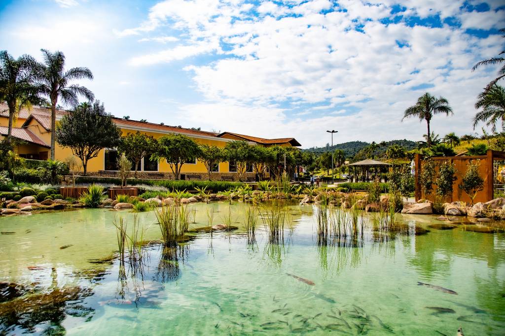 Lago Vinicola Goes lago vinicola goes