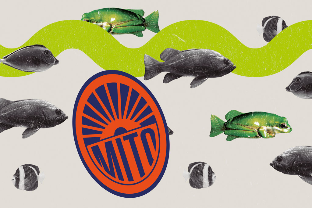 Si_60_Mitos_Alimentacao_Cap2_1 SI_60_mitos_alimentacao_Cap2_1