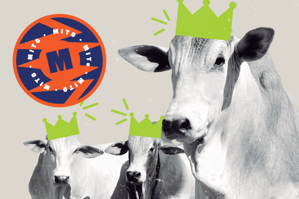 Si_60_Mitos_Alimentacao_Cap2_3 SI_60_mitos_alimentacao_Cap2_3