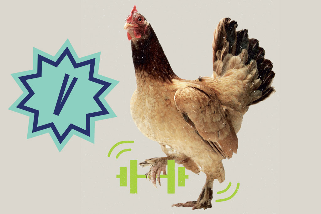 Si_60_Mitos_Alimentacao_Cap2_4 SI_60_mitos_alimentacao_Cap2_4