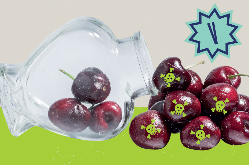 Si_60_Mitos_Alimentacao_Cap2_8 SI_60_mitos_alimentacao_Cap2_8