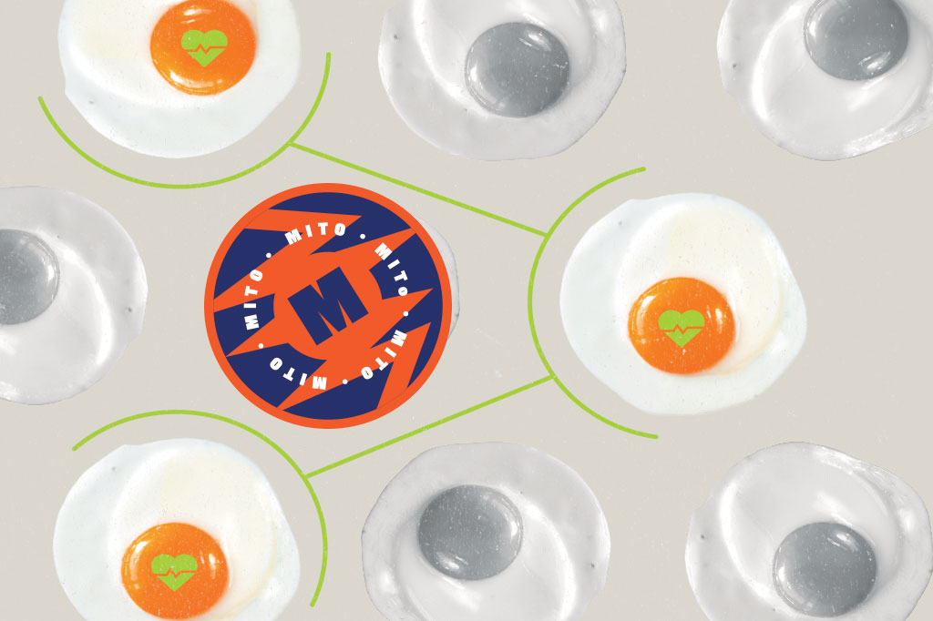 Si_60_Mitos_Alimentacao_Cap2_11 SI_60_mitos_alimentacao_Cap2_11