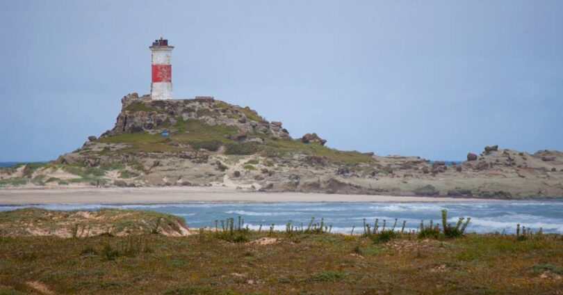 Descubra A Ilha De Mocha: Lar Da Baleia Que Inspirou Moby Dick 1 2025 word3